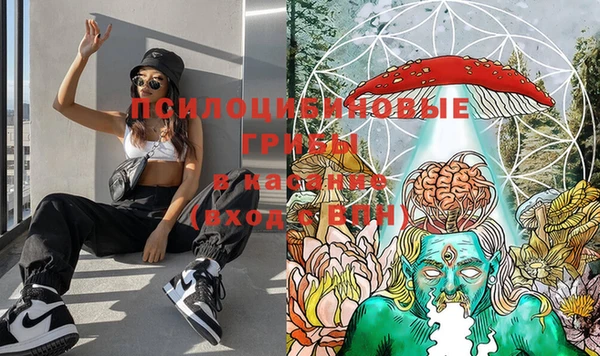 таблы Абинск