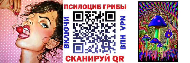 даркнет сайт  Почеп  Галлюциногенные грибы Psilocybine cubensis 